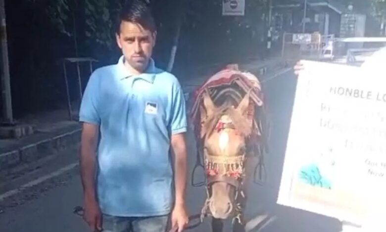 Crisis in the valley after Pahalgam attack: 1500 horsemen of Yusmarg on the verge of starvation