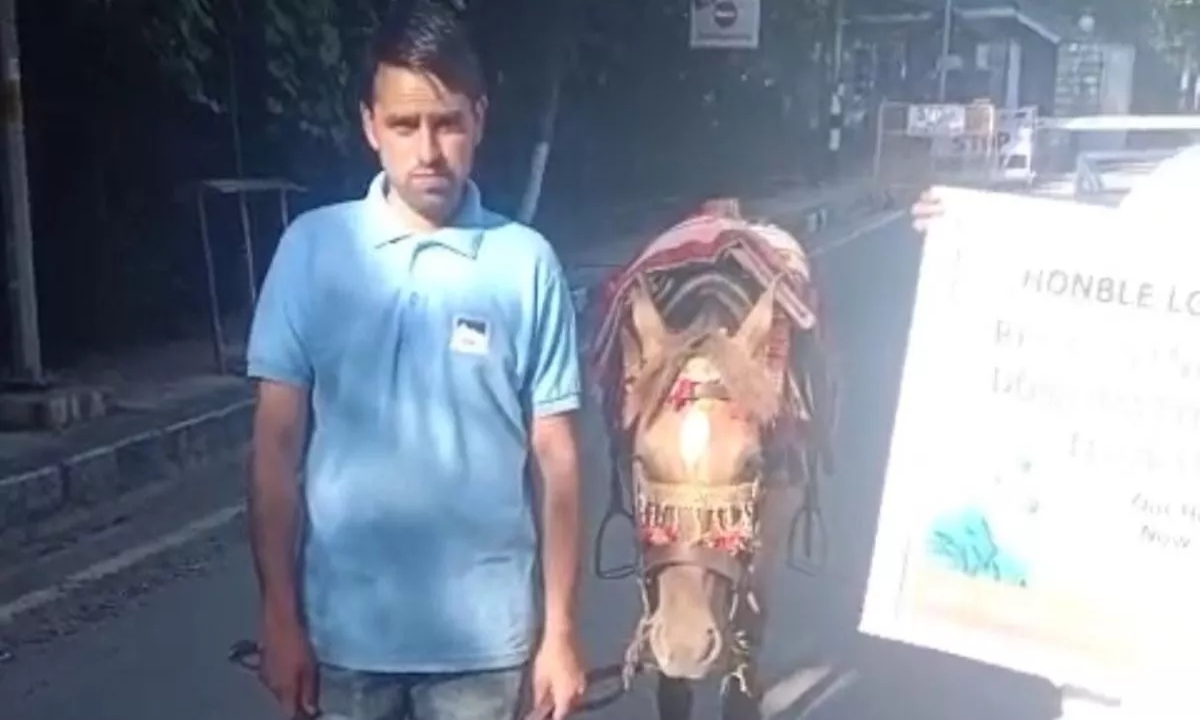 Crisis in the valley after Pahalgam attack: 1500 horsemen of Yusmarg on the verge of starvation