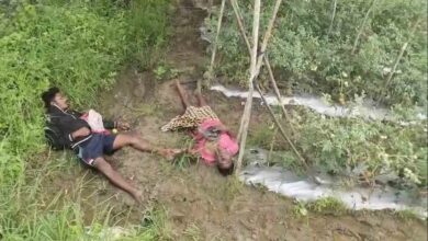 टमाटर चोरी करने खेत में घुसे पिता-पुत्र करंट की चपेट में, दोनों की मौत