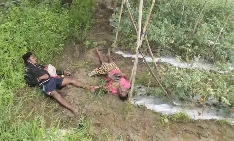 टमाटर चोरी करने खेत में घुसे पिता-पुत्र करंट की चपेट में, दोनों की मौत