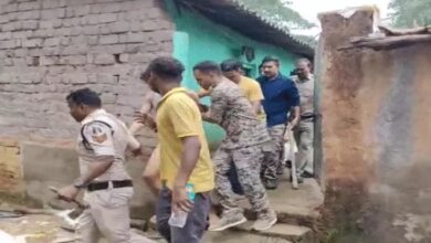 In Jashpur, son killed his mother with an axe, cut the body into several pieces