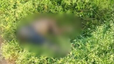 सड़क किनारे झाड़ियों में मिली लाश, इलाके में सनसनी