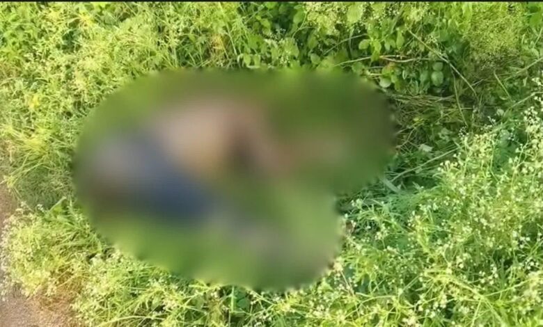 सड़क किनारे झाड़ियों में मिली लाश, इलाके में सनसनी