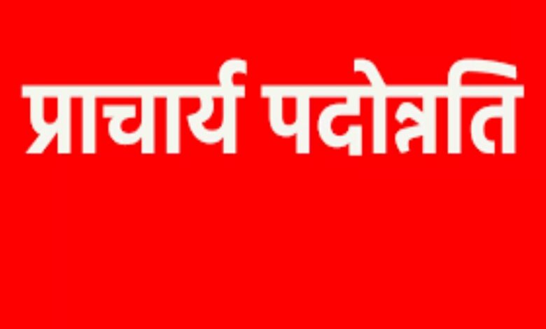 प्राचार्य प्रमोशन के बाद पदस्थापना आदेश जारी, सिंगल-सिंगल लिस्ट में शामिल हुए सभी पदोन्नत प्राचार्य
