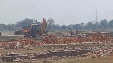 Rapid action will be taken against illegal plotting, five investigation teams have been formed