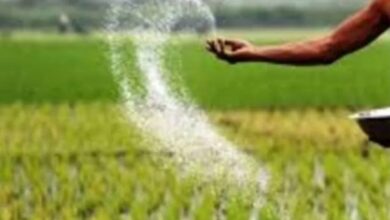 There is sufficient chemical and nano fertilizers in Chhattisgarh, farmers are being made aware
