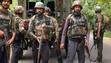 One terrorist killed in Kulgam encounter, operation continues