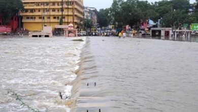 पुलिस की गाड़ी शिप्रा नदी में गिरी, थाना प्रभारी की मौत; 2 पुलिसकर्मियों की तलाश जारी