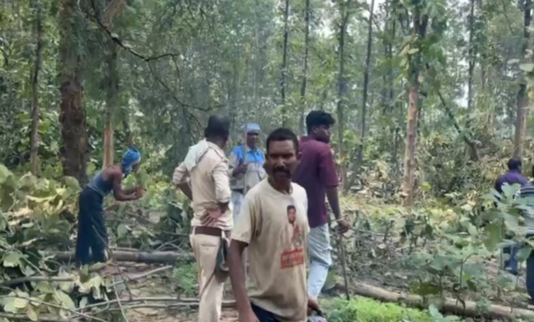 डूमरपारा में एमआरएस मिनरल्स द्वारा अवैध पेड़ कटाई का खुलासा, वन विभाग ने लकड़ी जब्त की