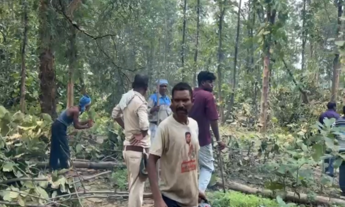 डूमरपारा में एमआरएस मिनरल्स द्वारा अवैध पेड़ कटाई का खुलासा, वन विभाग ने लकड़ी जब्त की