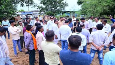 18 cows died in Raipur's Samoda Gauthan, Congress ordered an investigation.