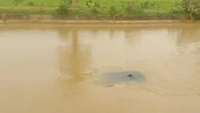A car full of devotees fell into a canal, police rescued everyone safely.