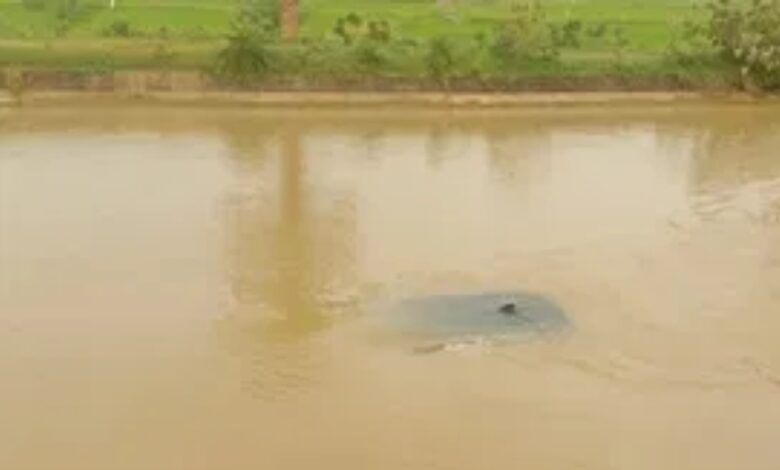 A car full of devotees fell into a canal, police rescued everyone safely.
