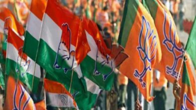 Politics over cow deaths: MP Brijmohan Agrawal hits back at PCC chief's statement