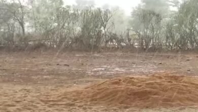 Heavy rain warning for 3 days in Chhattisgarh, rain possible on Dussehra too