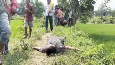 The bodies of a couple were found in a field, causing a sensation in the area.