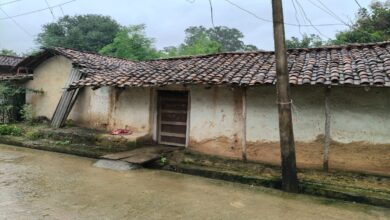 Bloody Holi in the village: Elderly man and son-in-law murdered, police detain two suspects
