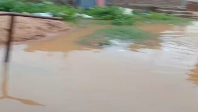 Continuous rain in Mahasamund for 14 hours, waterlogging in low-lying areas disrupts life