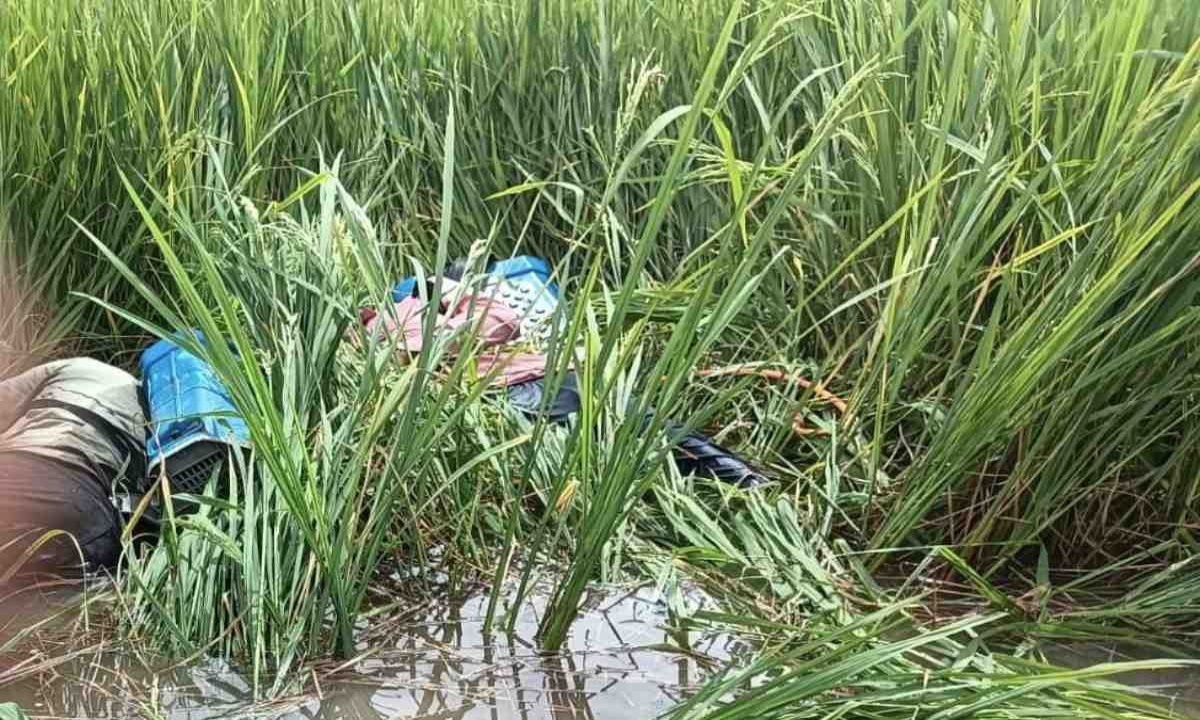 खेत में दवा छिड़कते समय सगे भाइयों की करंट से मौत, गांव में शोक