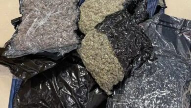 Major crackdown at airport: Drones, marijuana worth Rs 4 crore and exotic animals seized