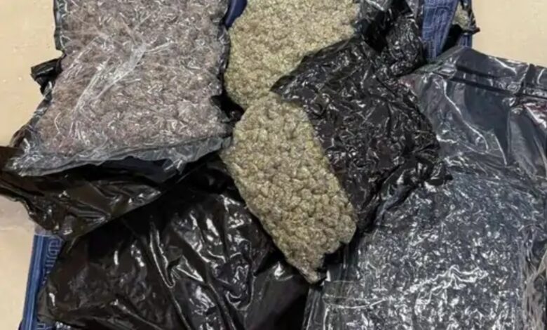 Major crackdown at airport: Drones, marijuana worth Rs 4 crore and exotic animals seized