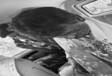 BJP MP attacked, stoned by mob, head fractured; condition critical