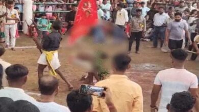 500-year-old tradition in Raigarh: Baiga drinks blood after sacrificing 40 goats