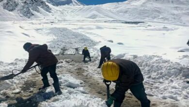 Cold wave intensifies in North India, snowfall in the Himalayas impacts the plains