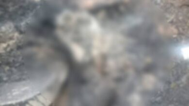 Engineer friend kills man to avenge slap, burns body and hides it