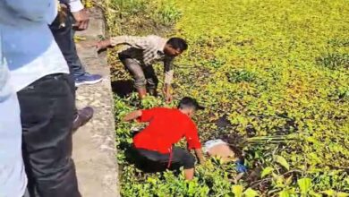A dead body was found during pond cleaning in Kondagaon, causing a stir in the area.