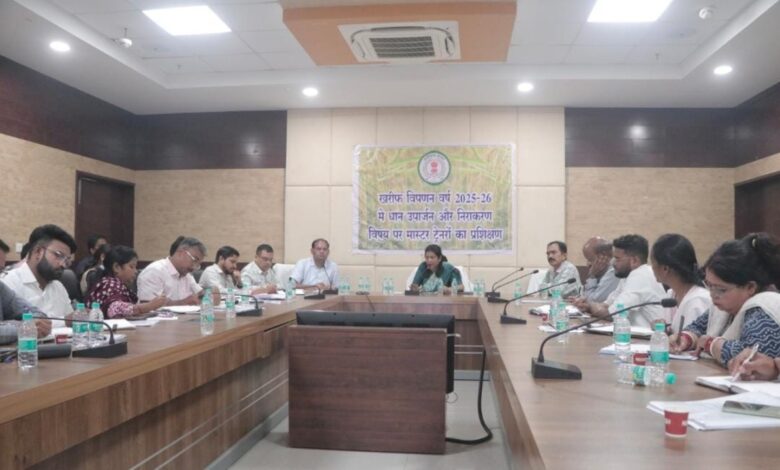 Paddy Procurement 2025-26: Procurement from farmers at support price from November 15, government completes preparations