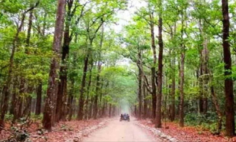 बस्तर के आसना में खुलेगा राज्य का पहला वन विज्ञान केन्द्र