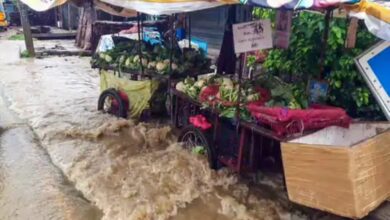 Heavy rains disrupt normal life in Tamil Nadu and Kerala, snowfall in Himachal Pradesh intensifies cold; red alert in six Andhra Pradesh districts