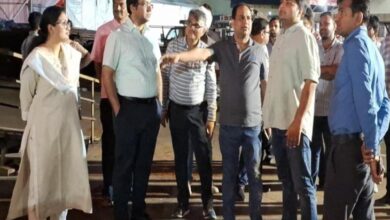 राज्योत्सव 2025 की तैयारियों की कलेक्टर ने ली क्लास, दिए समय पर कार्य पूरा करने के निर्देश