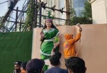 वीआईपी चौक पर दोबारा स्थापित हुई छत्तीसगढ़ महतारी की प्रतिमा, आरोपी गिरफ्तार