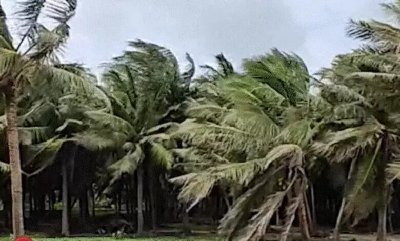 ओडिशा में दस्तक दे चुका चक्रवात मोन्था: 100 KM प्रति घंटे की रफ्तार से चल रही हवाएं, समुद्र में उठीं ऊंची लहरें