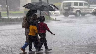 Chhattisgarh will again receive rain today, the weather department has predicted.