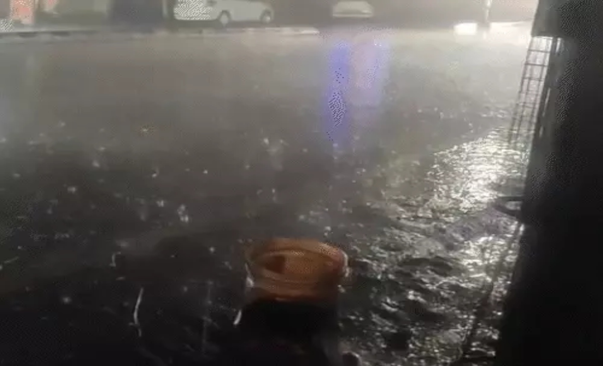 ‘मोन्था’ कमजोर, ट्रेनें 29 घंटे लेट: डायवर्ट रूट पर यात्रियों की परेशानी बढ़ी, कुछ जिलों में आज भी बारिश की संभावना