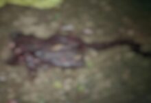 Bloody clash over land dispute in Patthalgaon, two dead.