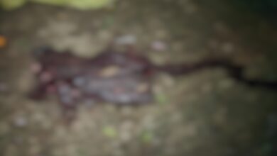 Bloody clash over land dispute in Patthalgaon, two dead.