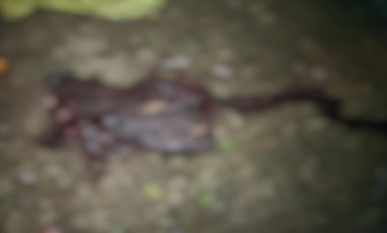 Bloody clash over land dispute in Patthalgaon, two dead.