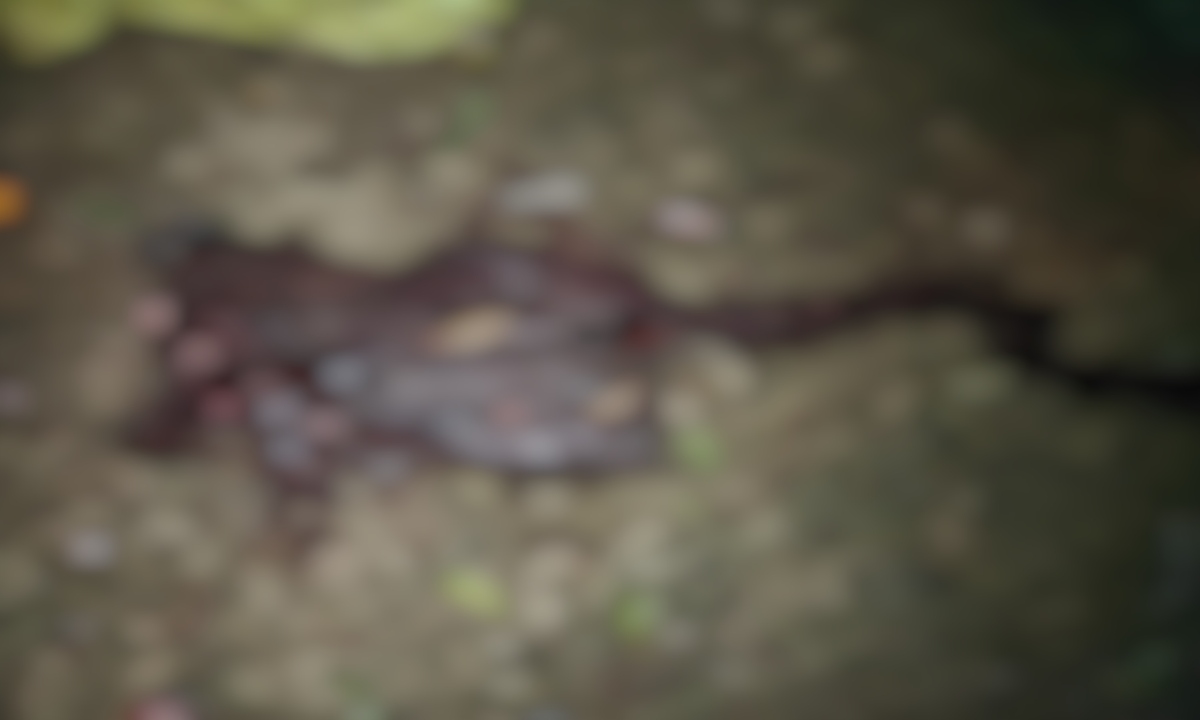 Bloody clash over land dispute in Patthalgaon, two dead.