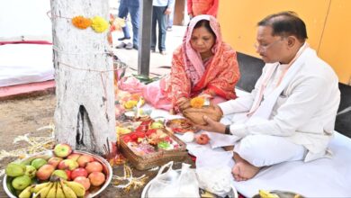 On Amla Navami, the Chief Minister worshipped the Amla tree and prayed for the happiness and prosperity of the people of the state.