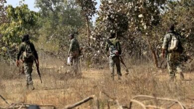 2 दिन में 13 नक्सली ढेर, 50 गिरफ्तार: छत्तीसगढ़-आंध्र प्रदेश बॉर्डर पर टेक शंकर मारा गया