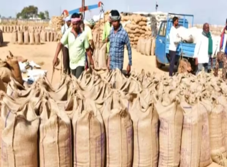 A new era of home-based paddy sales, the Tunhar Token app has brought significant relief to farmers.