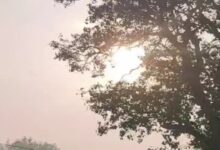 The effect of cyclone Mandous has ended in Chhattisgarh, and now the cold will increase: there will be no rain for the next one week.