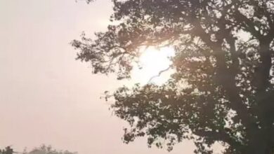 The effect of cyclone Mandous has ended in Chhattisgarh, and now the cold will increase: there will be no rain for the next one week.