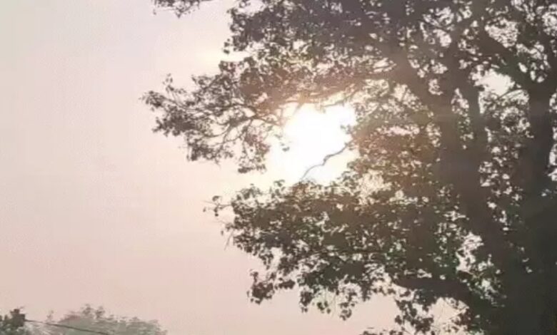 The effect of cyclone Mandous has ended in Chhattisgarh, and now the cold will increase: there will be no rain for the next one week.