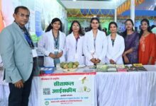 During the state festival, a demonstration was held on making pulp and ice cream from custard apples, and women received training in self-employment.