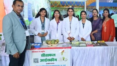 During the state festival, a demonstration was held on making pulp and ice cream from custard apples, and women received training in self-employment.